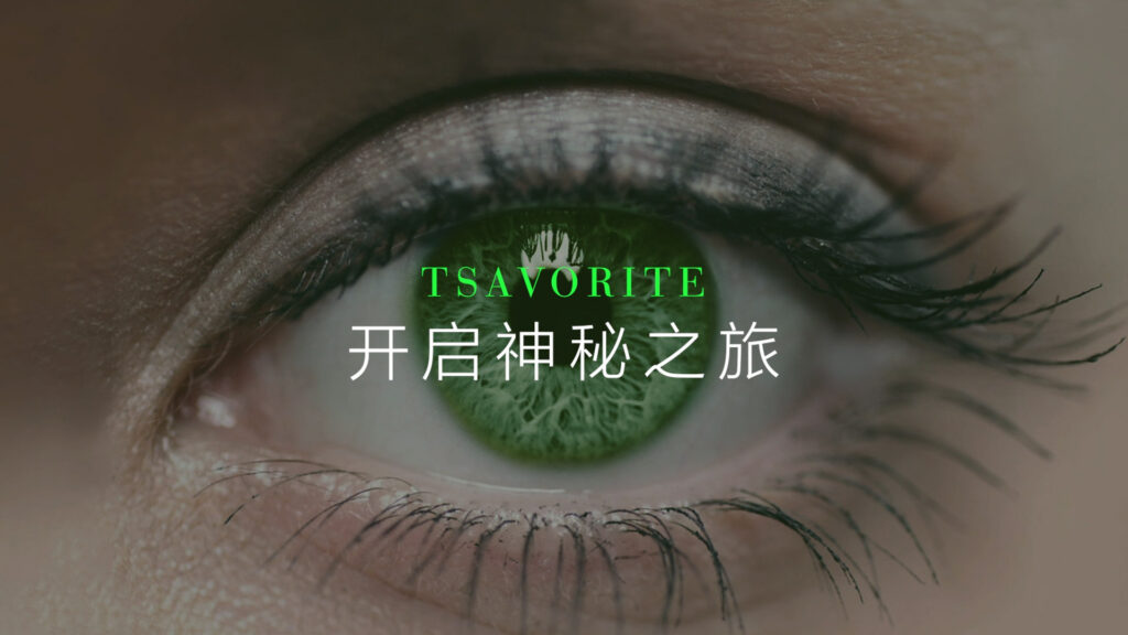 Dazzling Gem professional marketing tools and educational video content designed to increase emerald sales for B2B jewelry partners.