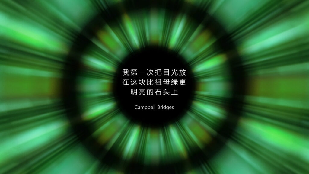 Educational video guide by Dazzling Gem providing expert insights on emerald quality and sourcing for B2B jewelry professionals.